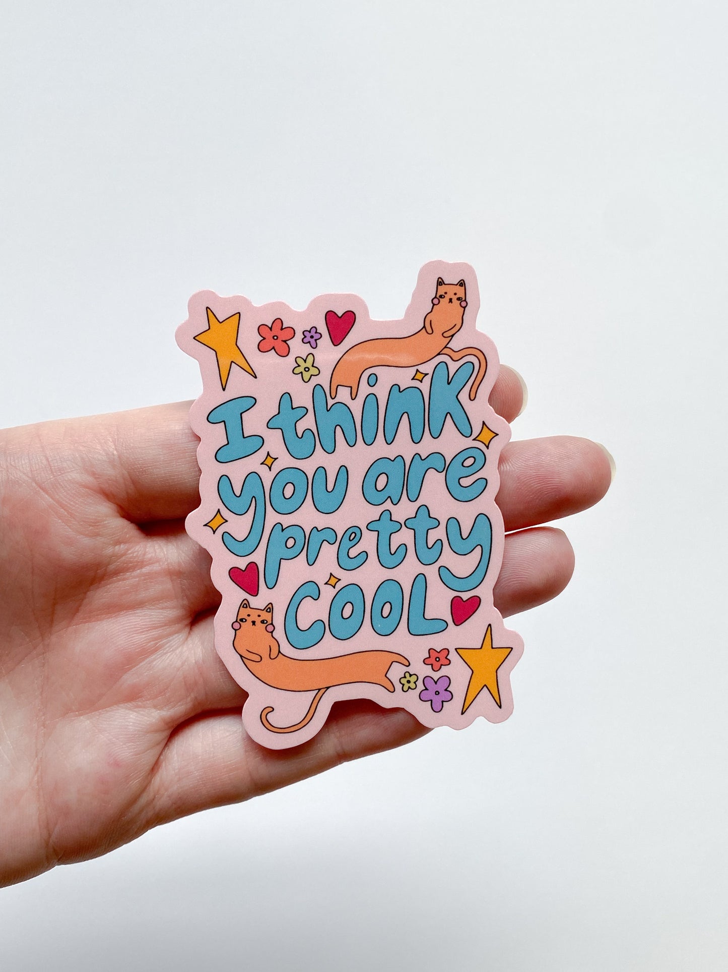 I Think You Are Pretty Cool Sticker